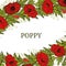 Card, template, banner hand drawing of leaves flowers of red poppy.