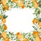 Card template, frame of hand drawn blooming oranges tree branches, flowers and oranges