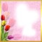 The card for Valentine\'s day. Picture of love. Tulips.