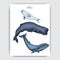 Card with whale. Colorful vector illustration with wildlifr animals