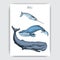 Card with whale. Colorful vector illustration with wildlifr animals