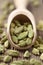Cardamom green seeds superfood ayurveda spice in a