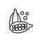 Cardamon seeds black line icon. Seasoning vector illustration. Isolated contour of orthopedics diseases on white