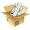 Cardboard Box with Dollar Bills