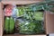 Cardboard boxes containing vegetables from online shopping