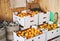 Cardboard boxes of organic tangerines in zero waste shop