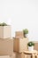 Cardboard boxes of things are stacked on the floor against a white wall. Books and table lamps and green plants in pots