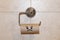 Cardboard center of a toilet paper roll without paper with and sad face drawn hanging hanging from a toilet paper roll holder
