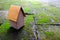 Cardboard House on Moss Ground.