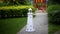 Cardboard Model Building Lighthouse in the garden.