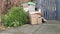 Cardboard packaging waste as a result of increased postal deliveries, COVID-19