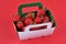 Cardboard punnet of gariguettes strawberries close-up on red background