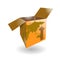 Cardboard shipping box
