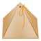 Cardboard triangular packaging box icon flat style