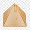 Cardboard triangular packaging box icon flat style