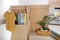 Cardboard wardrobe boxes with clothes on hangers, houseplant and carpet