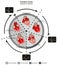 Cardiac Cycle Diastole and Systole of Human Heart Anatomy