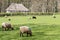 CARDIFF/UK - APRIL 19 : Abernodwydd Farmhouse at St Fagans National History Museum in Cardiff on April 19, 2015