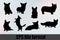 Cardigan Welsh Corgi Dog Silhouette Bundle SVG