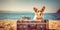 Cardigan Welsh Corgis Sunny Retreat Suitcase Adventure and Stylish Sunglasses - travel and holiday concept. Generative AI