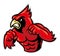 Cardinal bird mascot show his muscle