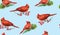 Cardinal birds on branches with red berries and pine twig, hand painted watercolor illustration, seamless pattern design