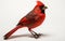 Cardinal on a Crisp White Background -Generative Ai