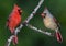 Cardinal Pair