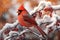 A cardinal perched on a tree branch in late winter