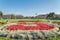 Cardinal S logo at Oval Green in Stanford University at sunset