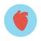 Cardiology flat vector  icon