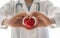 Cardiovascular disease doctor or cardiologist holding red heart in clinic or hospital exam room office for csr professional
