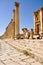 The Cardo Colonnaded Street, Jerash