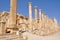 The Cardo Colonnaded Street, Jerash (Jordan)