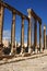 Cardo street in Jerash,