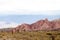 Cardon cactus at Los Colorados, colorful valley in Jujuy Province, Argentina