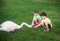 Care and safety of animals concept. Two Little boy kid feeding playing with beautiful swan. Children having fun with big white