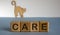 Care word on wooden cubes, wooden figures of cat