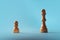 Career ambitions, concept, novice vs specialist, pawn vs queen. Chess pieces