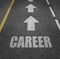 Career path