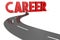 Career - road concept