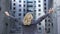 Carefree blond woman in formal suit raising hands up back view, female wellness