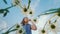 A carefree child plucks a daisy in a field. bottom view