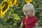 Carefree childhood of a preschooler boy. Blond boy on sunflowers field