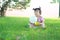 Carefree Chinese baby girl play a ball and balloon on the lawn