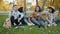 Carefree students singing playing the guitar relaxing on lawn in city park