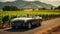 A carefree summer road trip snapshot capturing a convertible driving along a scenic vineyard