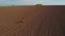 Carefree woman wearing long red dress walking on the plowed field, aerial shoot