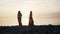 Carefree women in long black dress dancing on beach at sunset