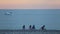 Carefree young friends having fun on pebble beach at dusk, relax at seaside